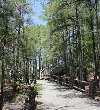A path in Pinnacle Mountain State Park Arkansas
